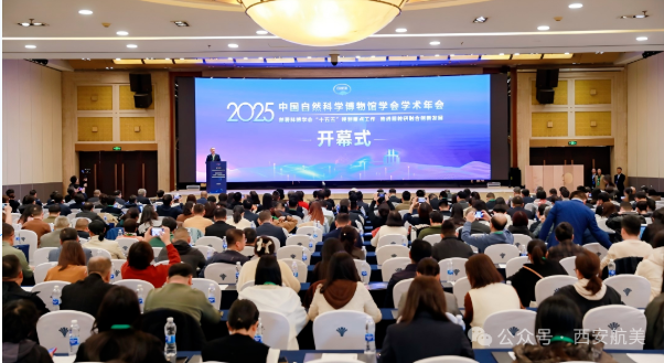 1765357414700486.png image.png